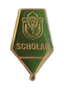 Grade VI Scholar Badge